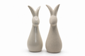 Lapin moderne