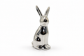 Lapin argenté