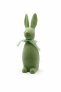 Lapin vert