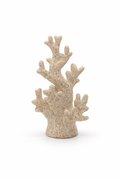 Corail décoratif